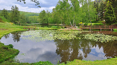 Ein Teich von mehreren in Eiland