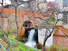 Sternberg, die Erbkornmühle im Frühling