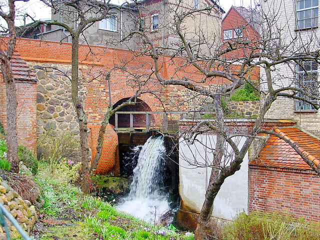 Sternberg, die Erbkornmühle im Frühling