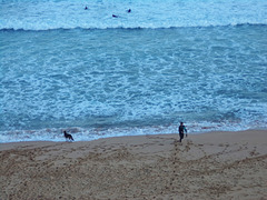 Logans Beach surfies