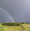 gbw - rainbows
