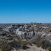 The Petrified Forest,21 Arizona