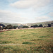 Looking towards Malham Cove (Scan from 1989)