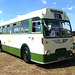 Stonham Barns 'The Big Bus Show' - 14 Aug 2022 (P1130030)
