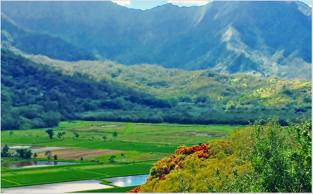 Hanalei valley