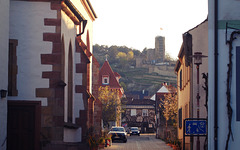 Wachtenburg in der Vorderpfalz