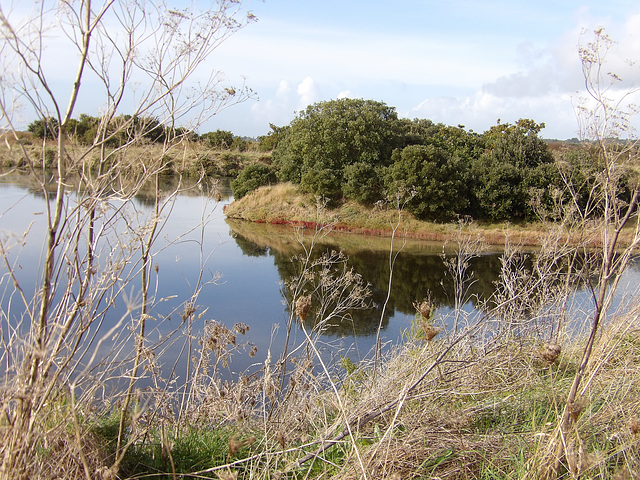 Les marais de Guérande (44)