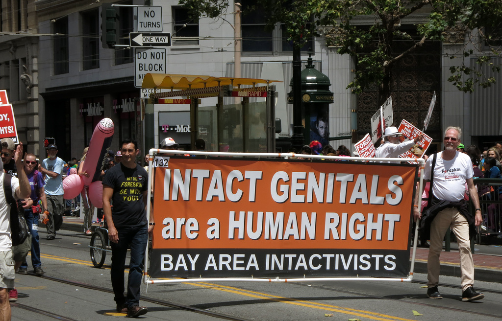 San Francisco Pride Parade 2015 (1448)