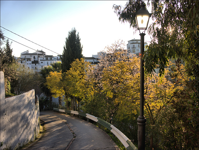 Gaucín