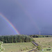 gbw - rainbows 2