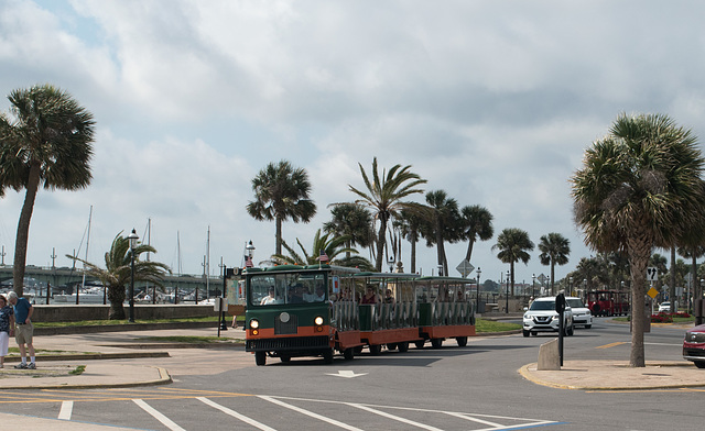 St Augustine trolley tours (#0512)