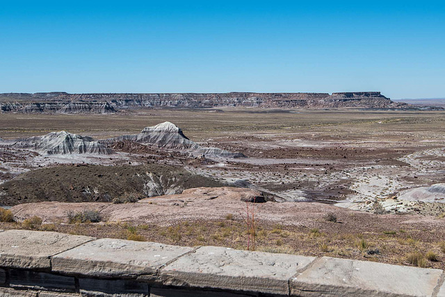 The Petrified Forest,28 Arizona