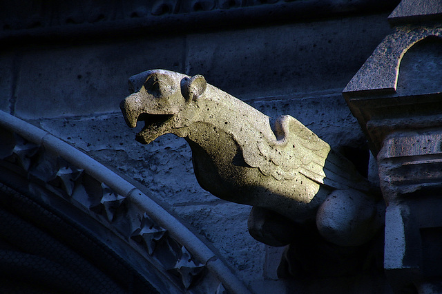 Une des nombreuses gargouilles de Notre-Dame de Paris