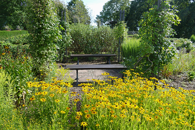 ... zwischen den Blumenbeeten