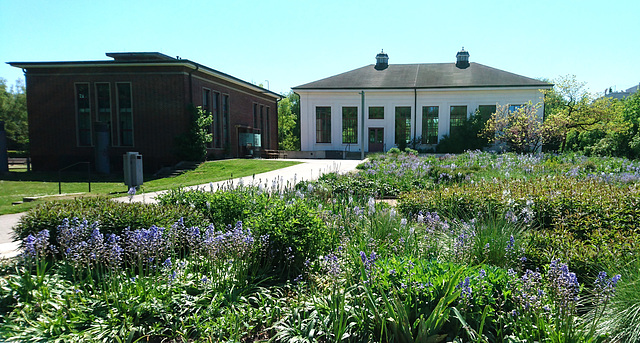 Wilhelmsburger Wasserwerk