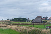 Texel, Weidewirtschaft