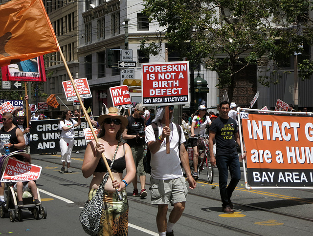 San Francisco Pride Parade 2015 (1451)