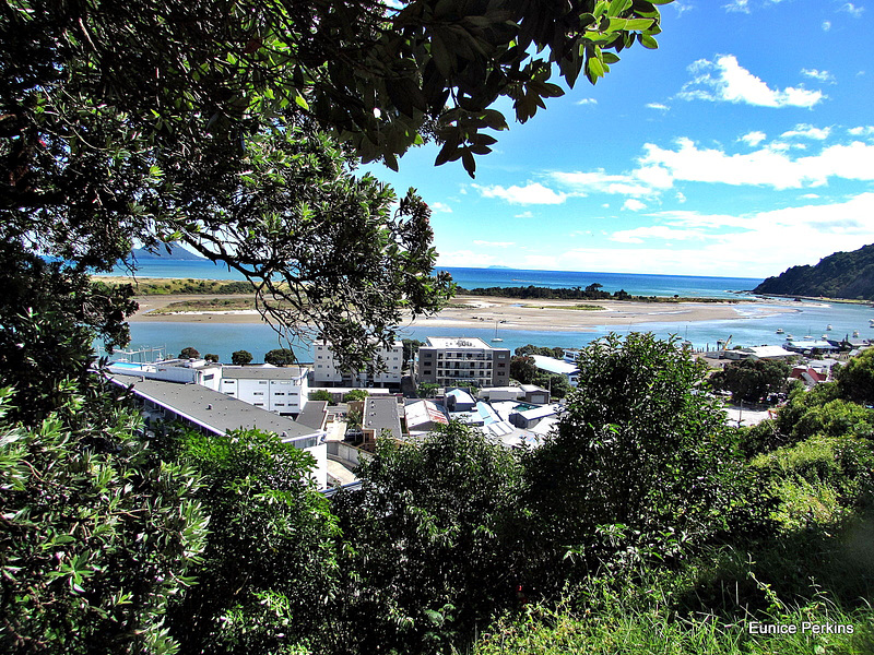 From Above Whakatane