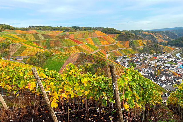 DE - Dernau - Herbstausblick