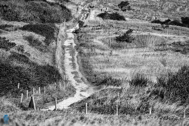 Ligne de cheminement le long de la côte - Sentier du Blanc Nez