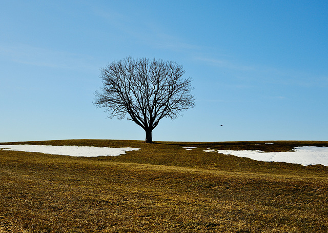 Warten auf den Frühling