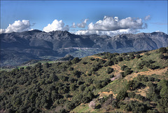 Sierra de Grazalema