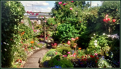 Garden, Saint Day, Cornwall