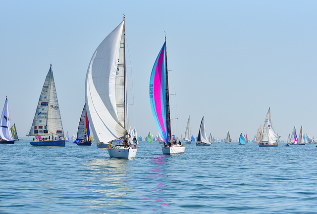 Round The Island Race 2019 (4)