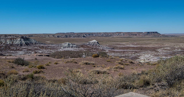 The Petrified Forest,31 Arizona