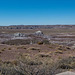 The Petrified Forest,31 Arizona