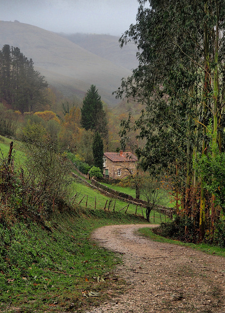 CAMINOS DE CANTABRIA