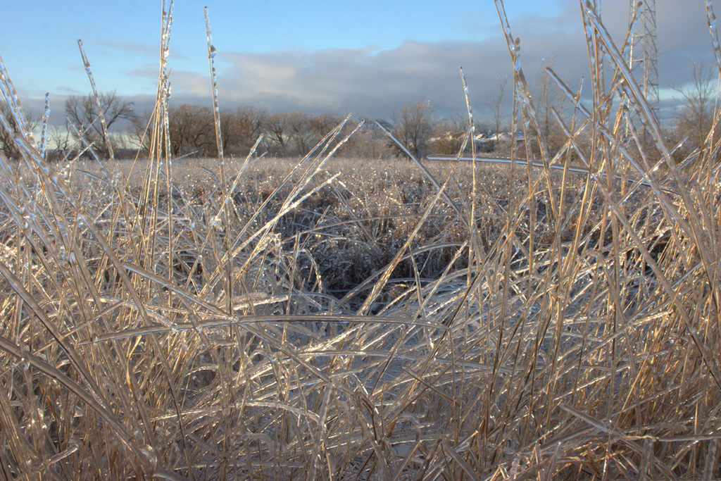 ice field