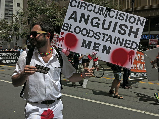 San Francisco Pride Parade 2015 (1458)