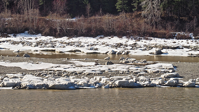 Fraser River