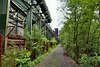 Neben der Löschgleishalle (Kokerei Zollverein, Essen-Stoppenberg) / 16.06.2018