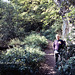 Path to Janet’s Foss (Scan from 1989)