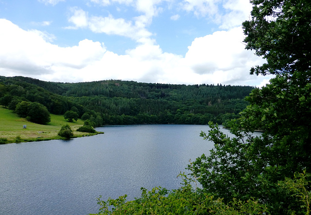 DE - Simmerath - Blick auf den Rursee