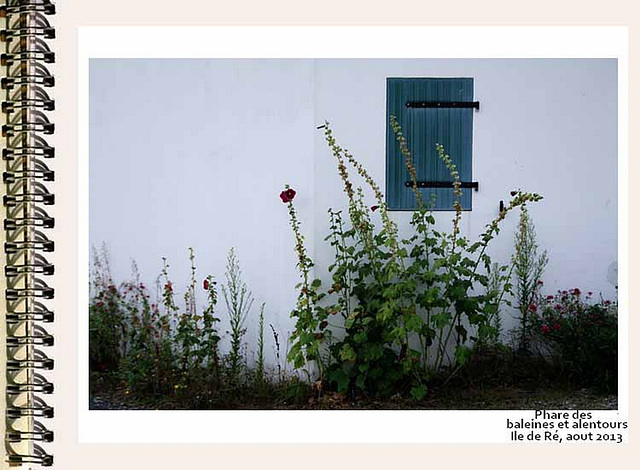 ilere102