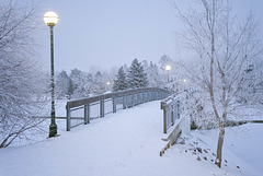 Pine Island footbridge