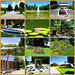 Bad Dürrheim - Kurpark - 07.08.2025
