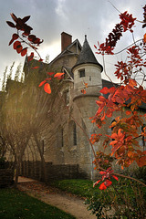 Château de Fougères-sur-Bièvre