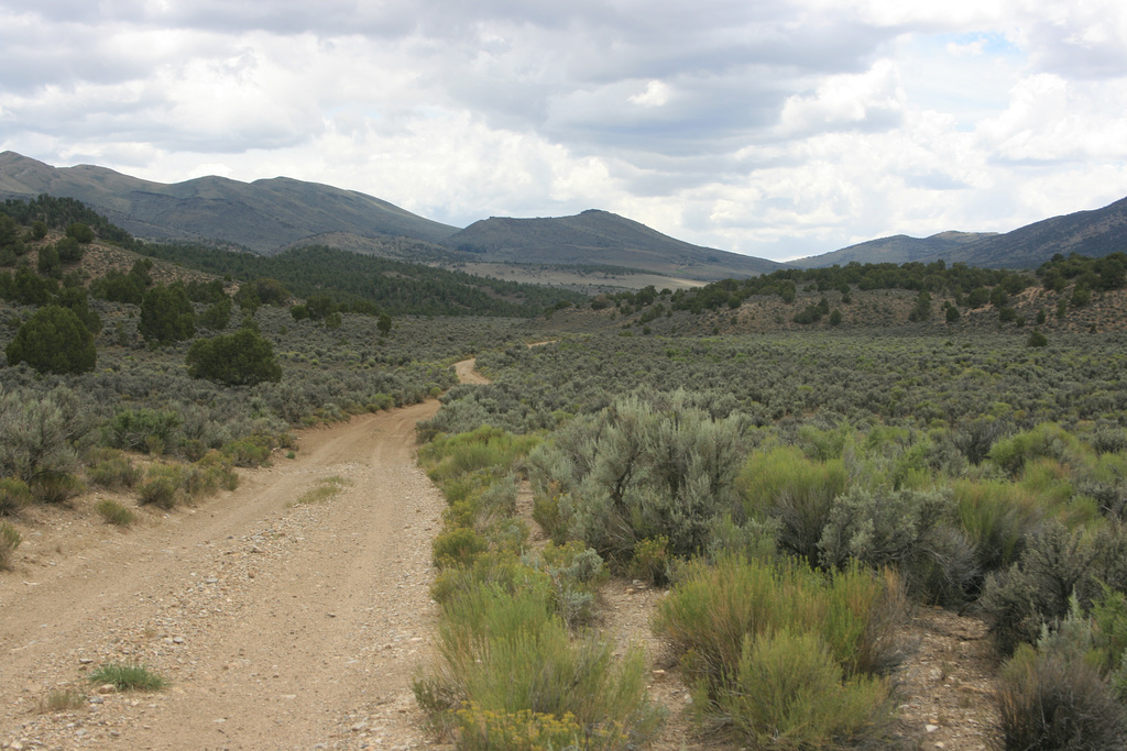 IMG 7865