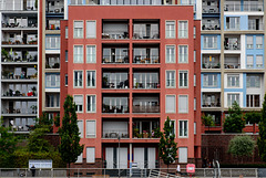 _DSC2809