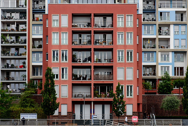 _DSC2809