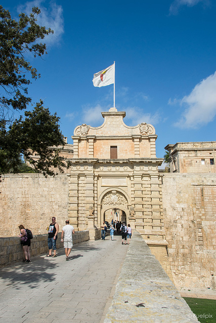 Mdina Gate - P.i.P. (© Buelipix)