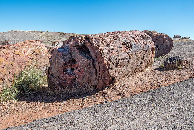 The Petrified Forest3, Arizona