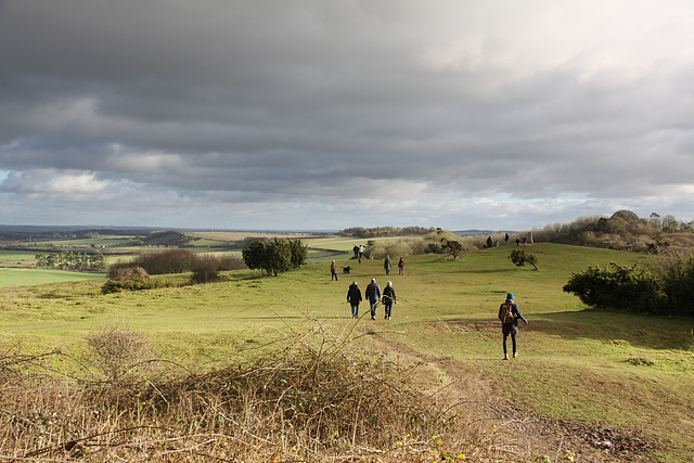 Danebury Iron Age Hillfort