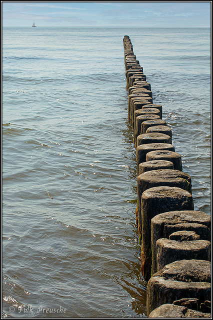 1275 Buhnen am Strand  von Hiddensee