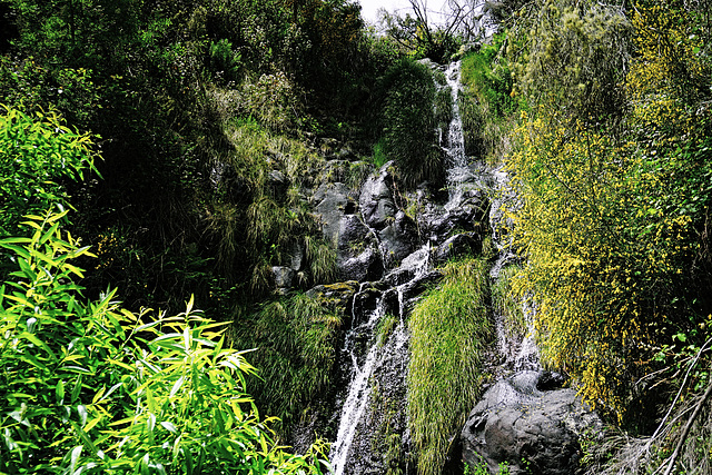 Kleiner Wasserfall - Small Waterfall - Petite chute d'eau