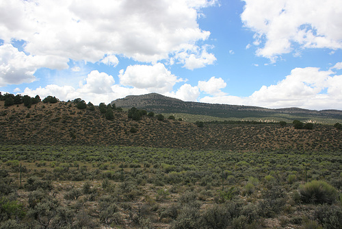 IMG 7866